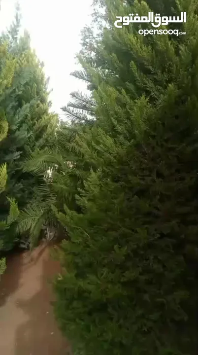 فيلا للبيع بسعر مغري