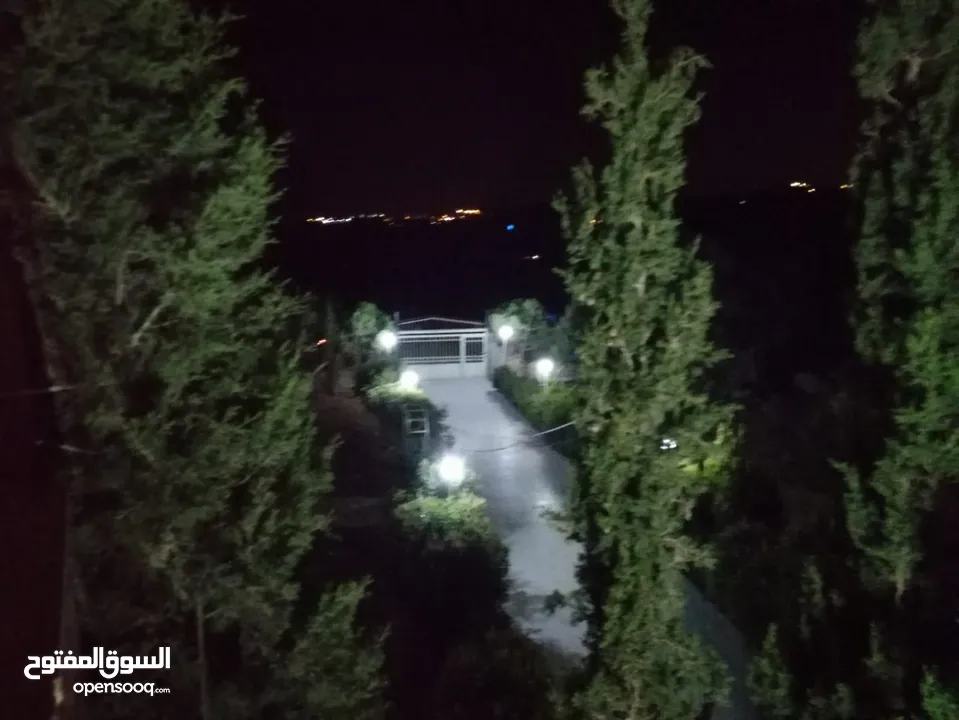 مزرعة مميزة ناعور المشقر