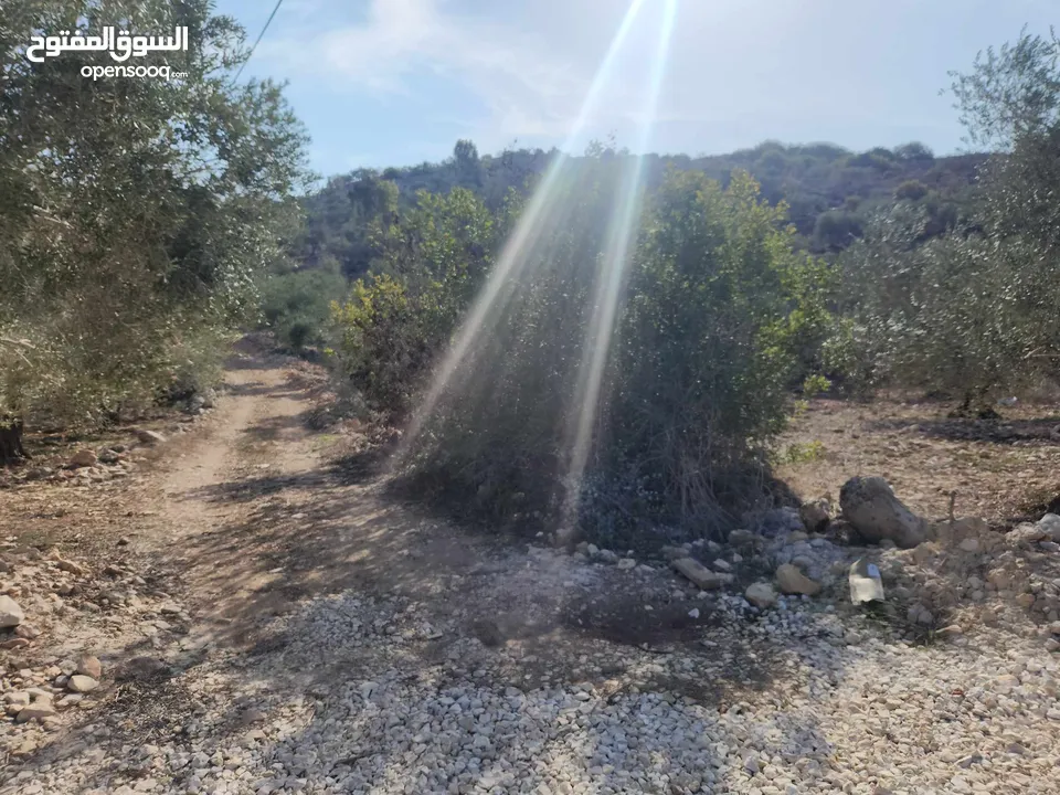 حصة 470م منطقة المنتزة