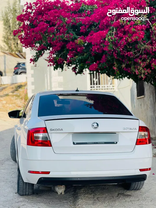 سكودا اوكتافيا 2019