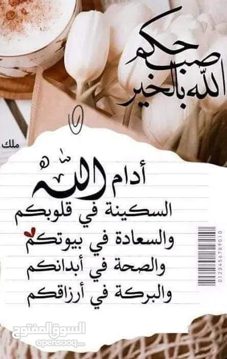 شقة للايجار شبنة