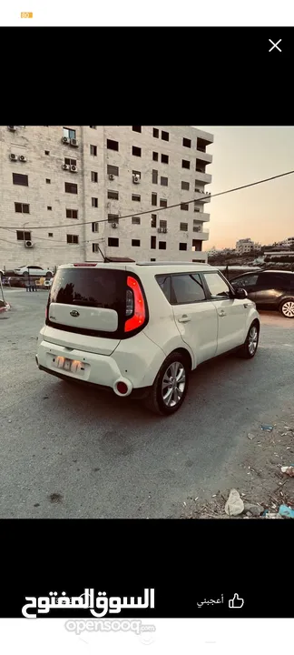 كايا سول مني جيب مرتفع وعزم جبار بسعر مناسب