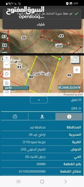 5 دونمات في النعيمه ثمن القطعة كامله الشياح الجنوبي مزرعة تميره