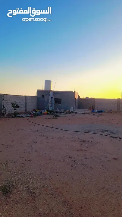 عبد المعطي