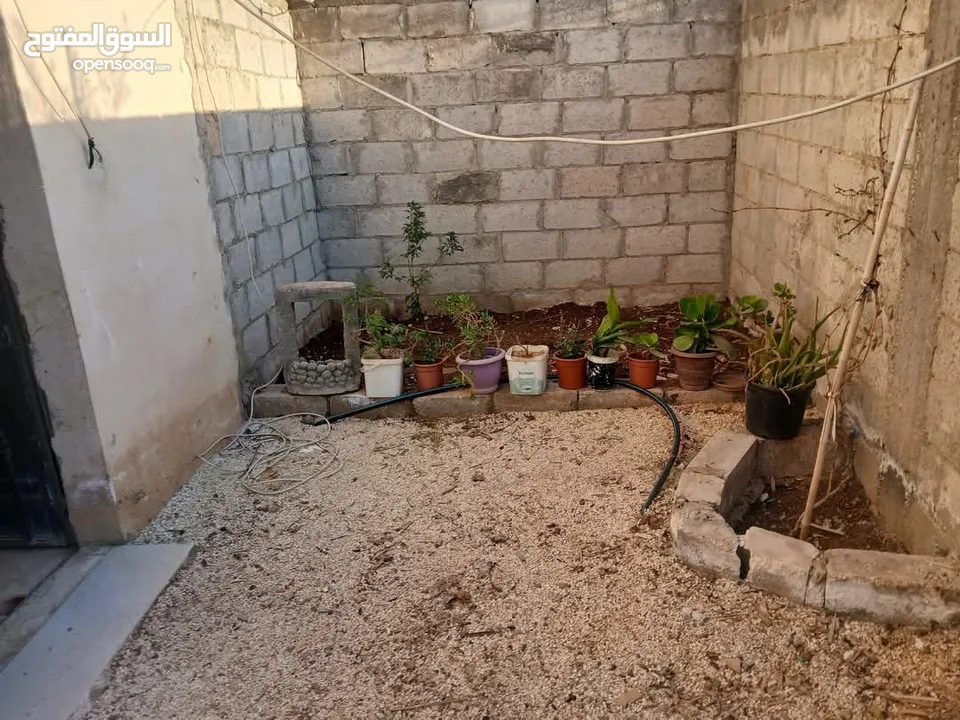 دار للبيع