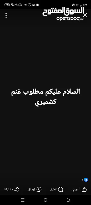 السلام عليكم مطلوب غنم كشميري