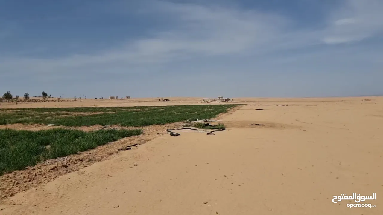 10 دنم في المسيطبة الفرش  من المالك مباشرة بدون وسطاء وعمولات
