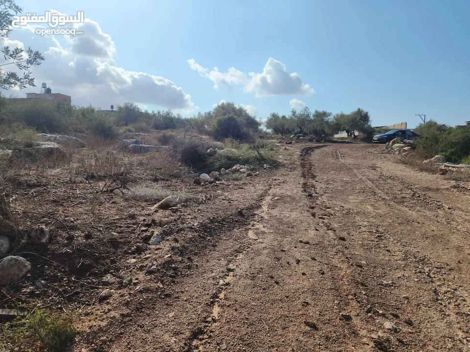 حصة بمنطقة الحرايق