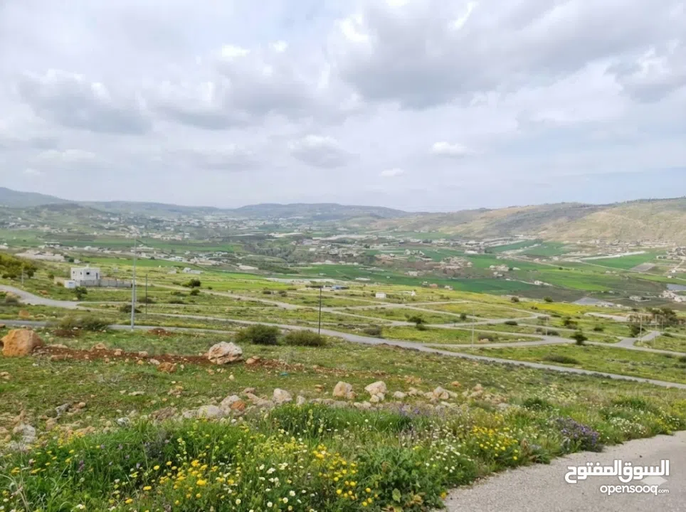 مشروع القمة -  النصارية