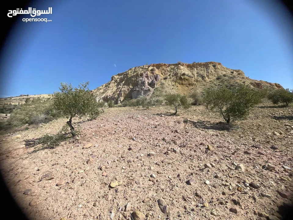 ارض للبيع / الصبيحي 18 دونم تقع على شارع رئيسي ‏بإطلالة مميزة وجميلة ويوجد بجانبها مطعم