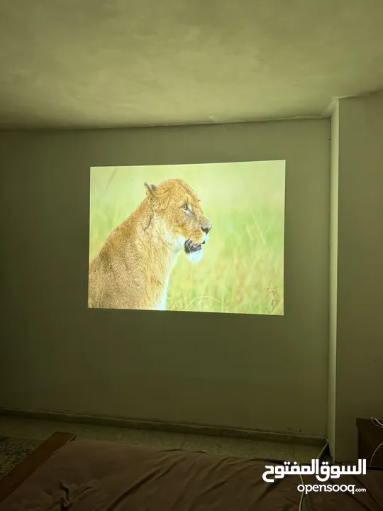 بروجكتور Benq mx550 2018 شبه جديد