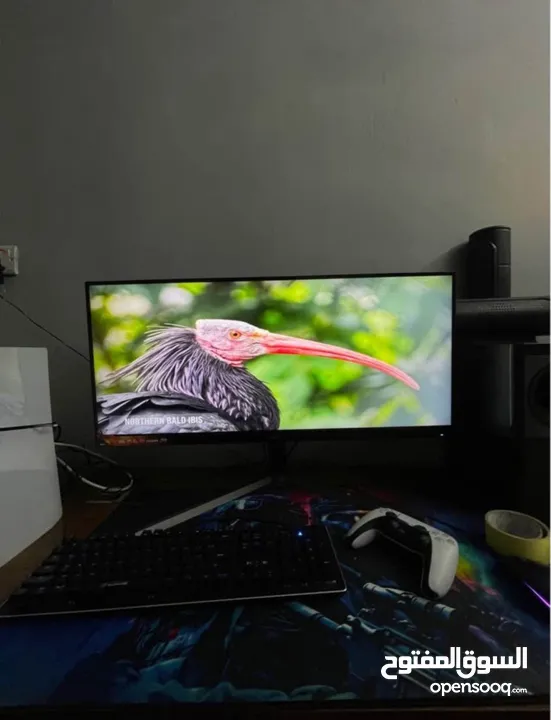 شاشه aoc 34 144hz