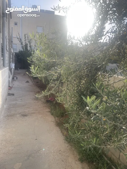 بيت مستقل للبيع ابوعلندا منطقة الرقيم