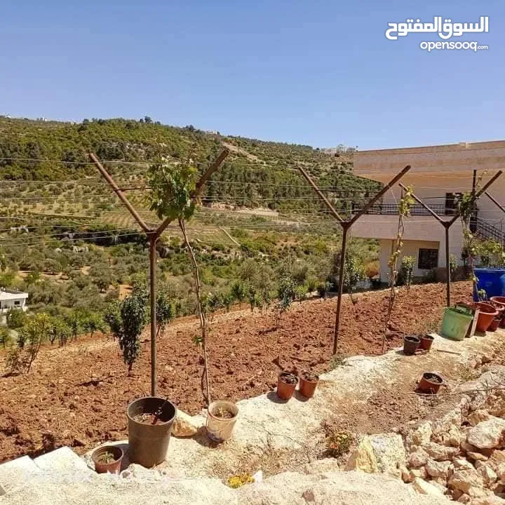 بيت للبيع ذات اطلاله بسعر مغري وموقع مميز