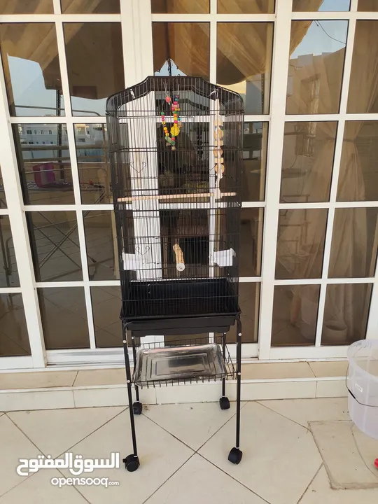 Birds Cage for sale