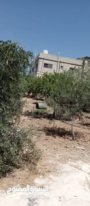 بيوت للبيع