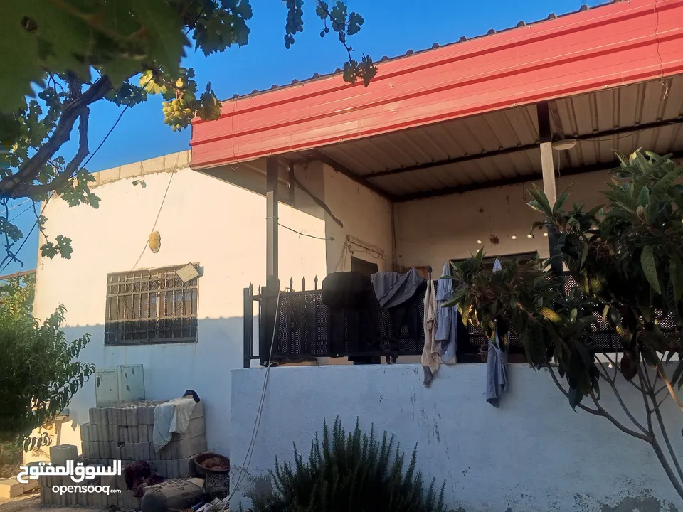 بيت مستقل تقريبا مزرعه مشيكه كامله مزروعع عنب وحمضيات مساحه البناء 160م وغرفه خارجيه 40م الواقع احلا