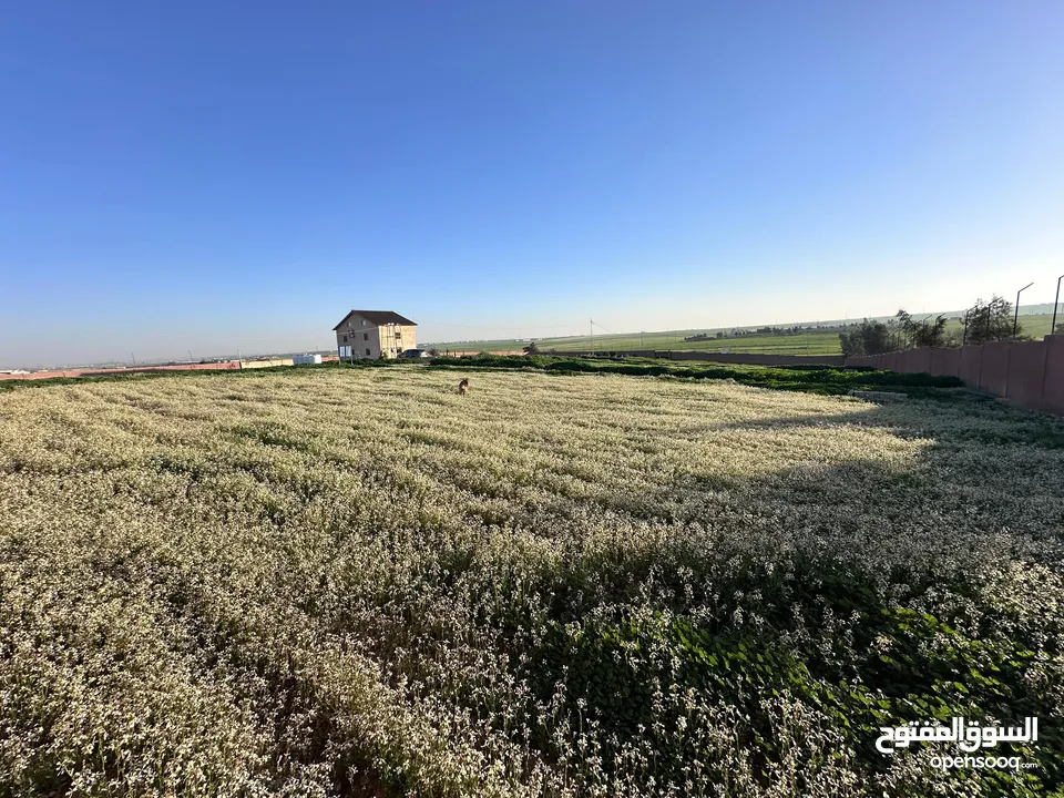 ارض للبيع على شارعين طريق المطار مع سور مجاني جلول 6 كم من جسر المطار من المالك مباشرة