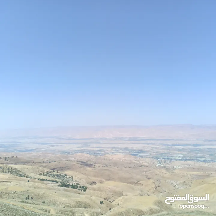 مزرعه للبيع في الصبيحي مطله على فلسطين
