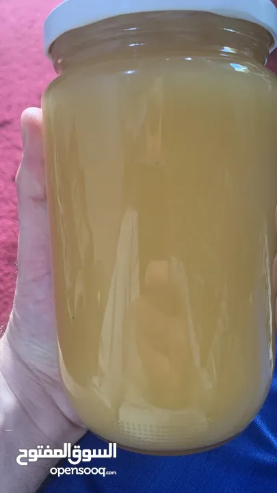 عسل بلدي اصلي ( زهور وربيع الأردن )