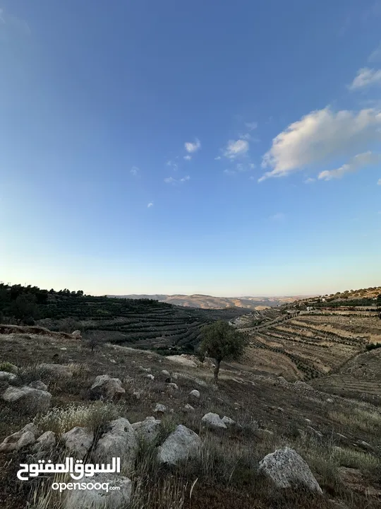ارض بالعالوك مساحة 3 دونم و 400 متر في اجمل مناطق المحمر  للمهتمين : الاتصال على الارقام يلي بالوصف
