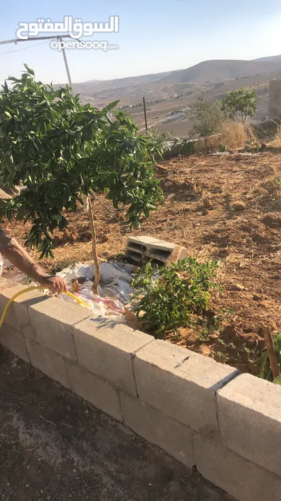 أرض بسعر مغري