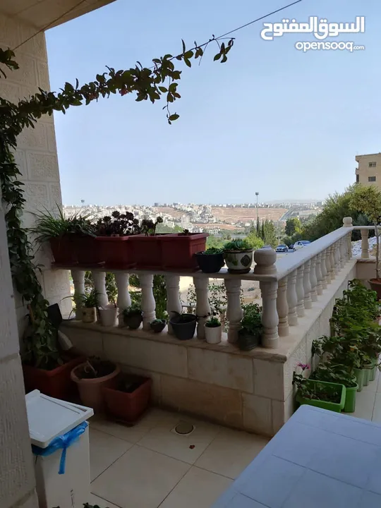 شقة فاخرة للبيع بسعر مغري ورمزي