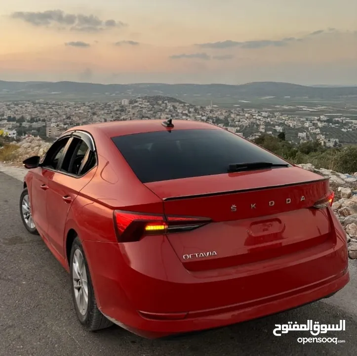 سكودا أوكتافيا 2020  Skoda Octavia 2020