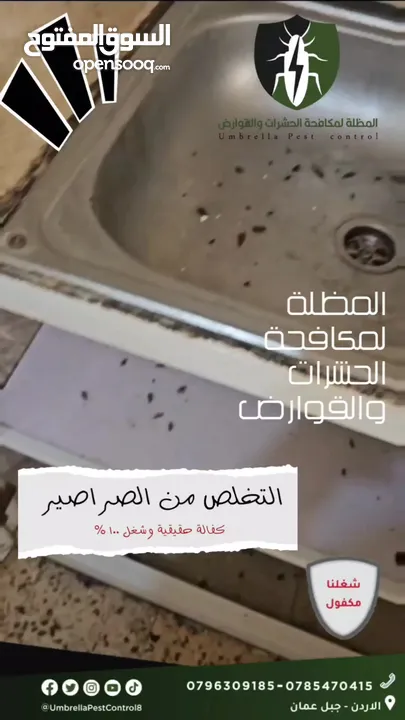 مكافحة الحشرات وبق الفراش و الصراصير والنمل وعثة الغبار والبراغيث والفئران بكفالة حقيقية في الاردن