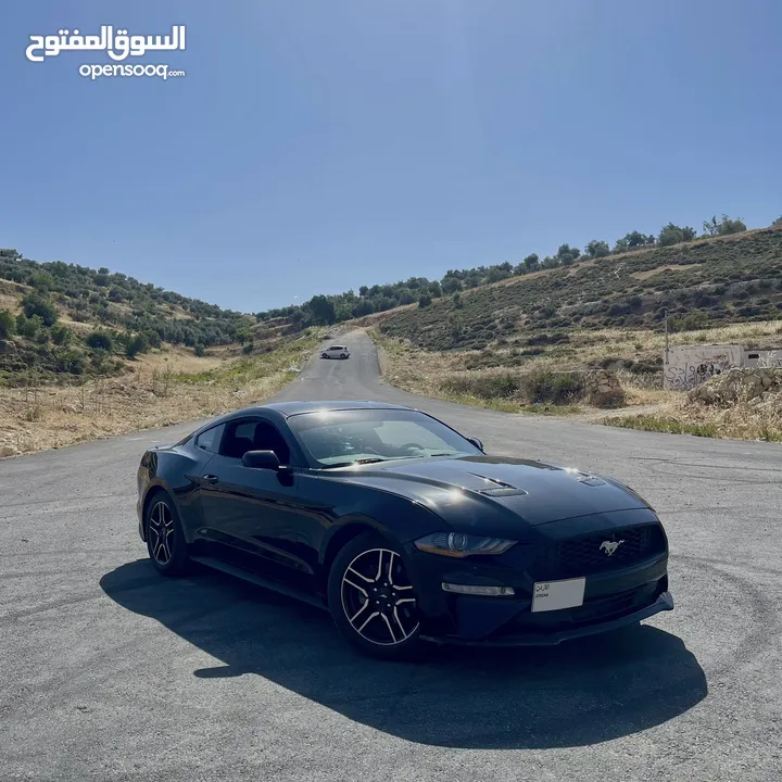Ford Mustang 2019 Ecoboost 2.3 10 speed Low mileage
