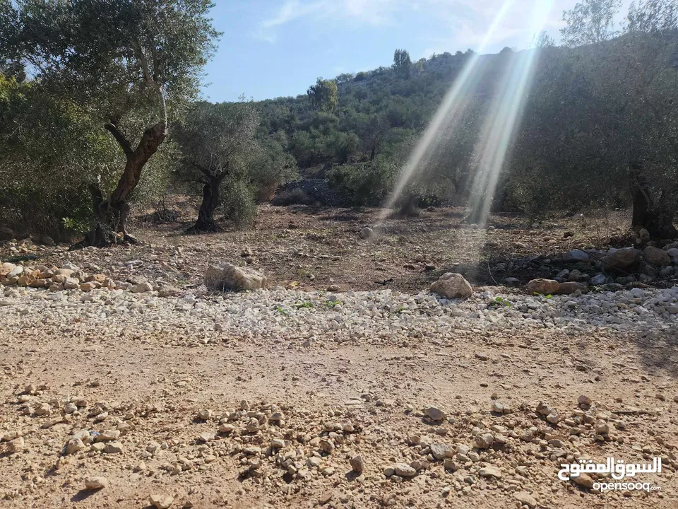 حصة 470م منطقة المنتزة