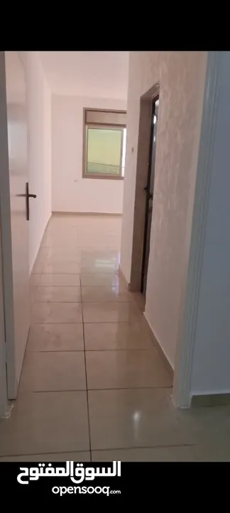 حاتم هيرون