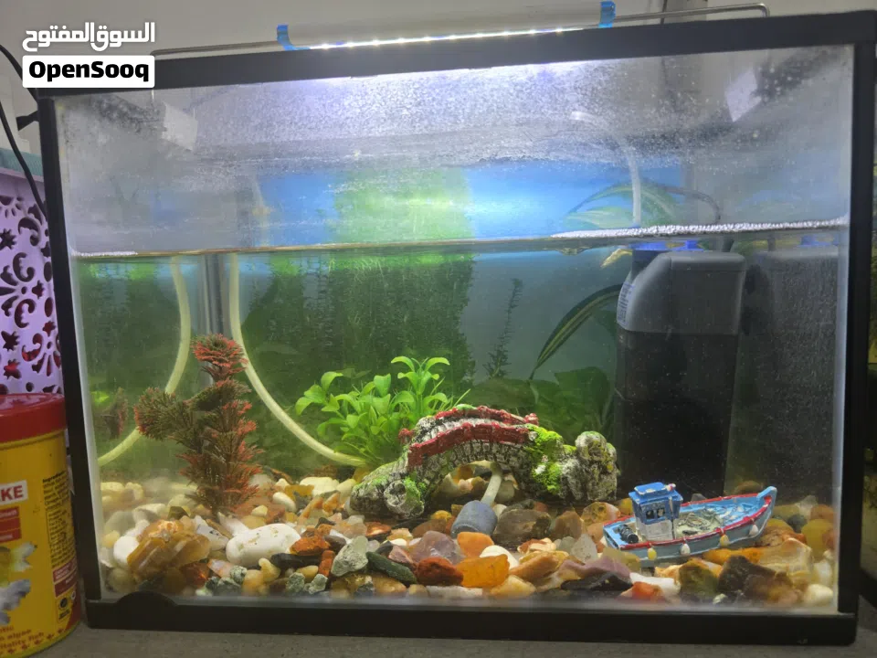 2 fish tank for sale  2احواظ سمك للبيع