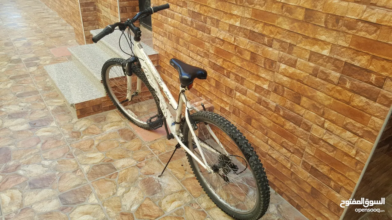 دراجة هوائية ( بسكليت ) للبيع