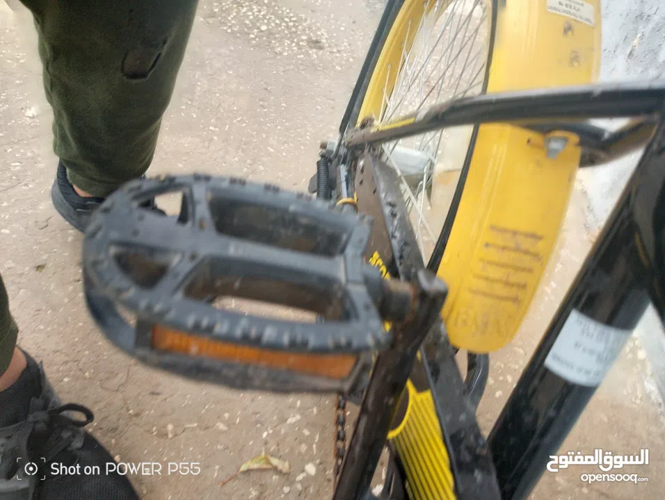 بسكليت للبيع