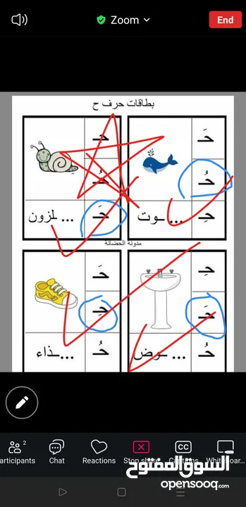 تدريس مادة اللغة العربية ( ابتدائي) خبره خمس سنوات في مجال التأسيس والصفوف الأولية