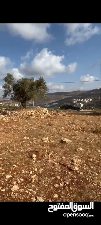 ارض للبيع في منطقه بيرزيت  للبيناء فيلا