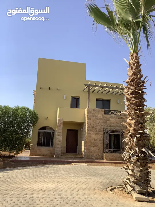 مزرعة في البحر الميت/ الشونه الجنوبية / السويمه / حوض جلد مميزة للبيع للجادين فقط