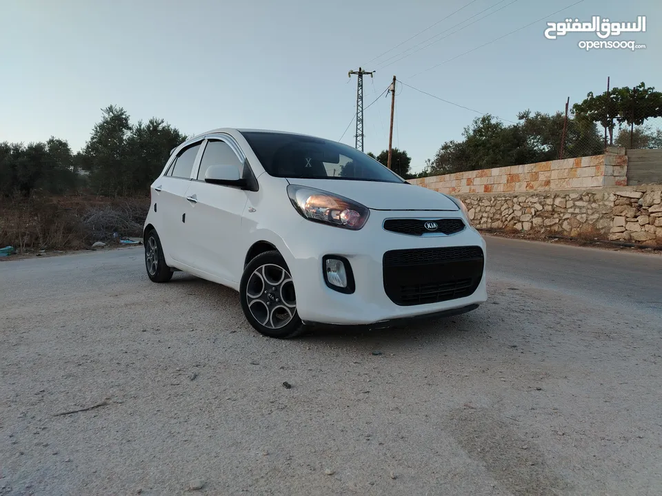 بكانتو... مورننج 2016برايفت اصل كوري
