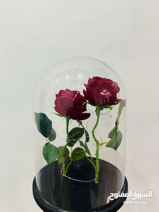 Flower rose dome