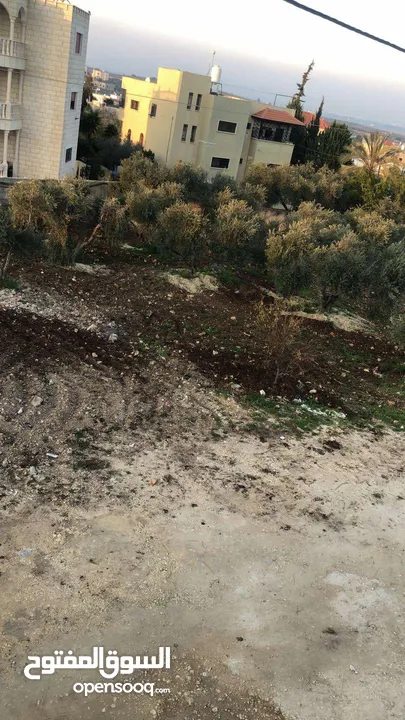 نمرة أرض للبيع