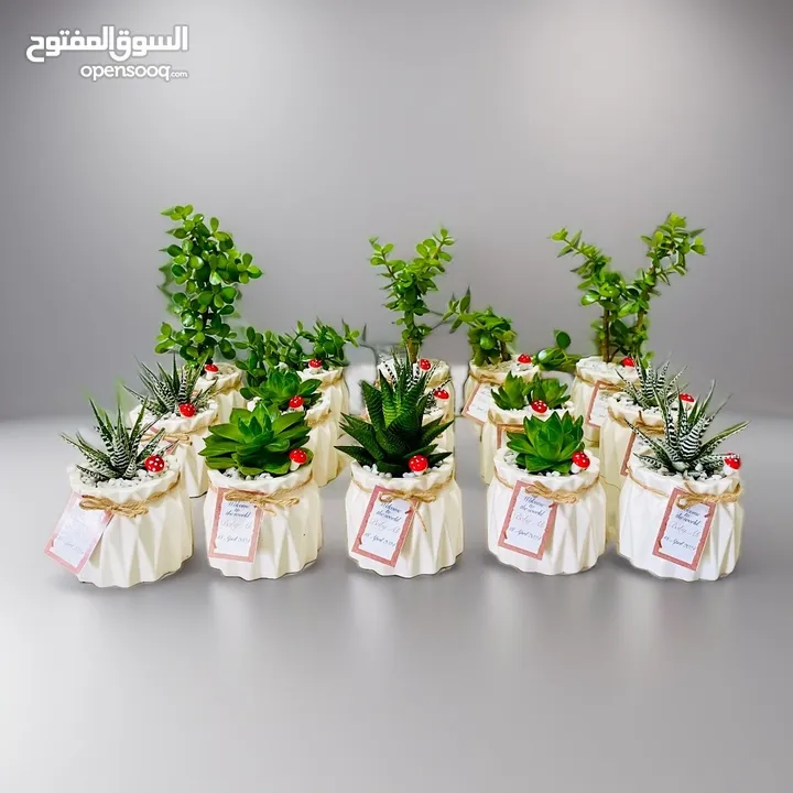 Handmade plant pots