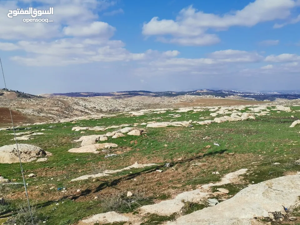 ارض للبيع 915 م سكن أ شارع المطار _ ناعور _ حسبان _ طريق الجامعة الالمانية من المالك مباشرة