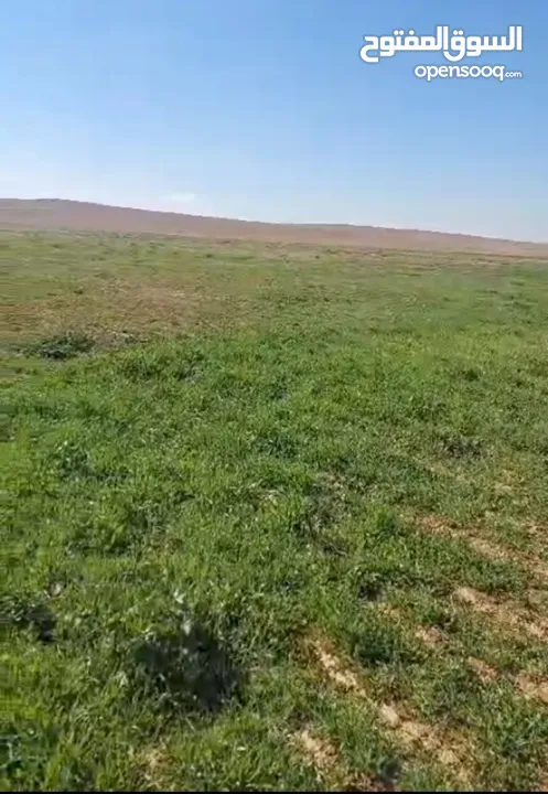 أرض 10 دنومات لقطة للبدل أو للبيع