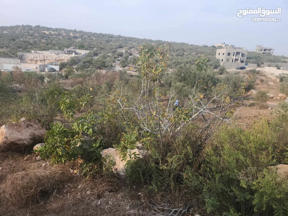 حصة 700 متر بالمسقوفة