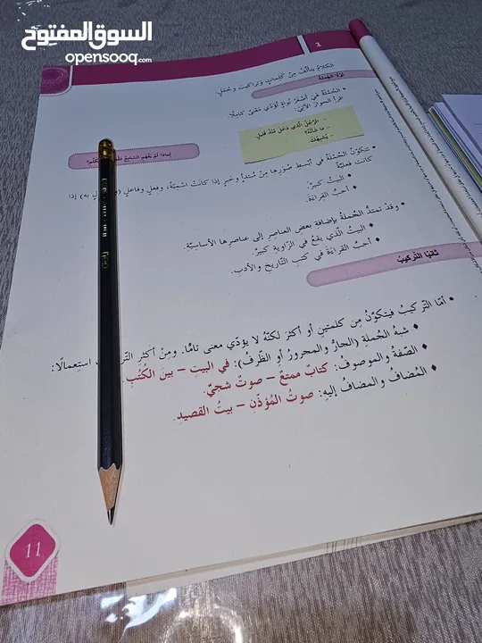 معلم لغة عربية و معلم لجميع المواد