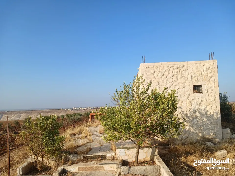 مزرعه أربعه دونم مشيكه بالكامل ارض زراعيه وبيت ريفي غرفتين وحمام ومطبخ صغير وباربكيو وساحه واسعه