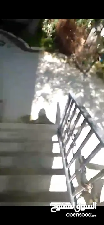 شقة للبيع طبربور