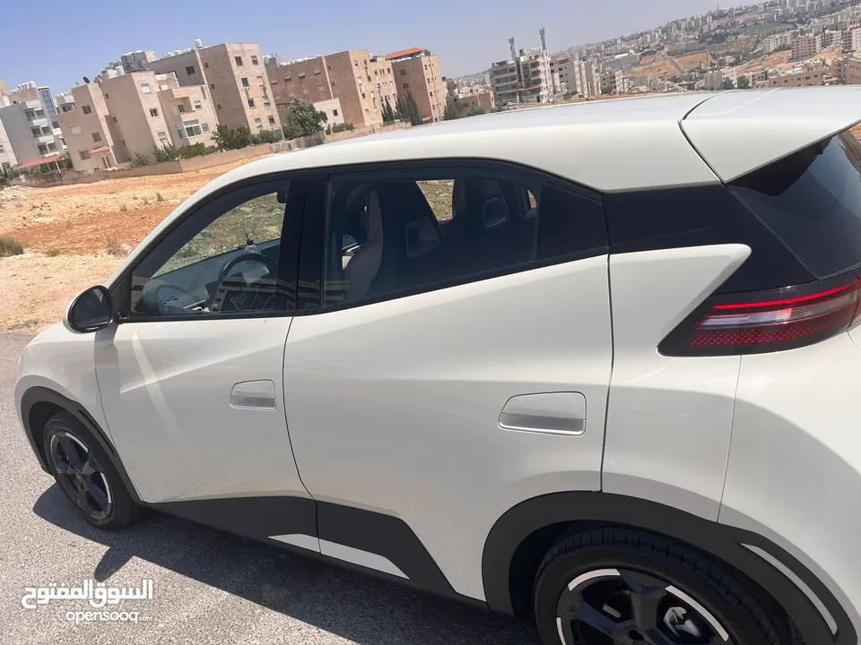 بي واي دي سيجول 2023