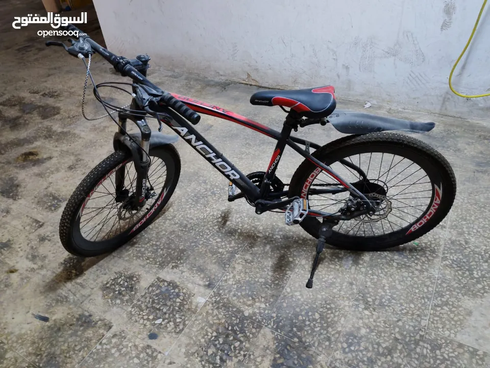 بسكليت anchor